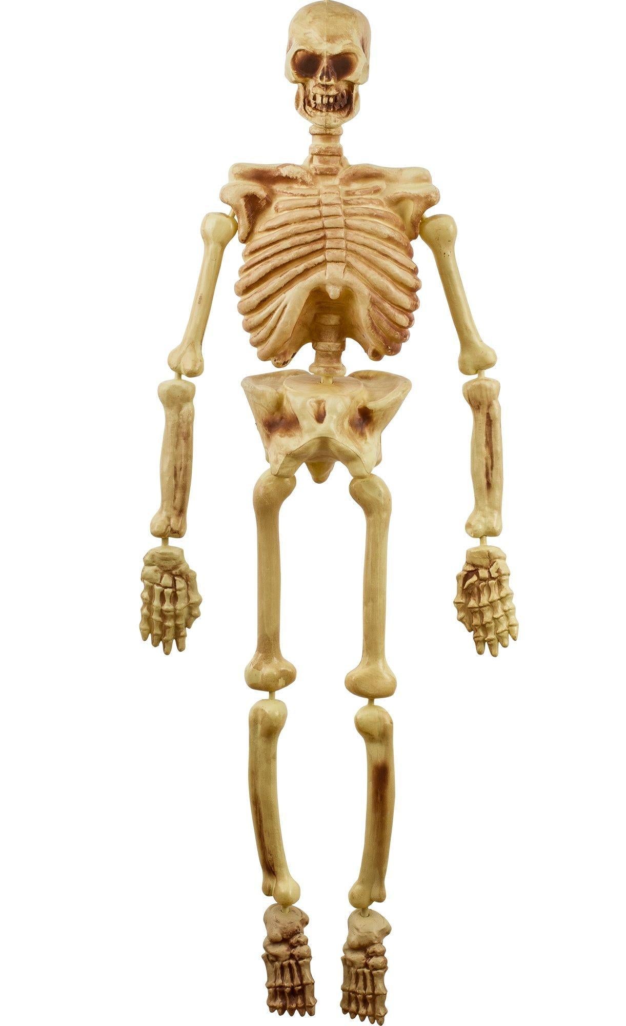 Hanging Plastic Skeleton. 5ft